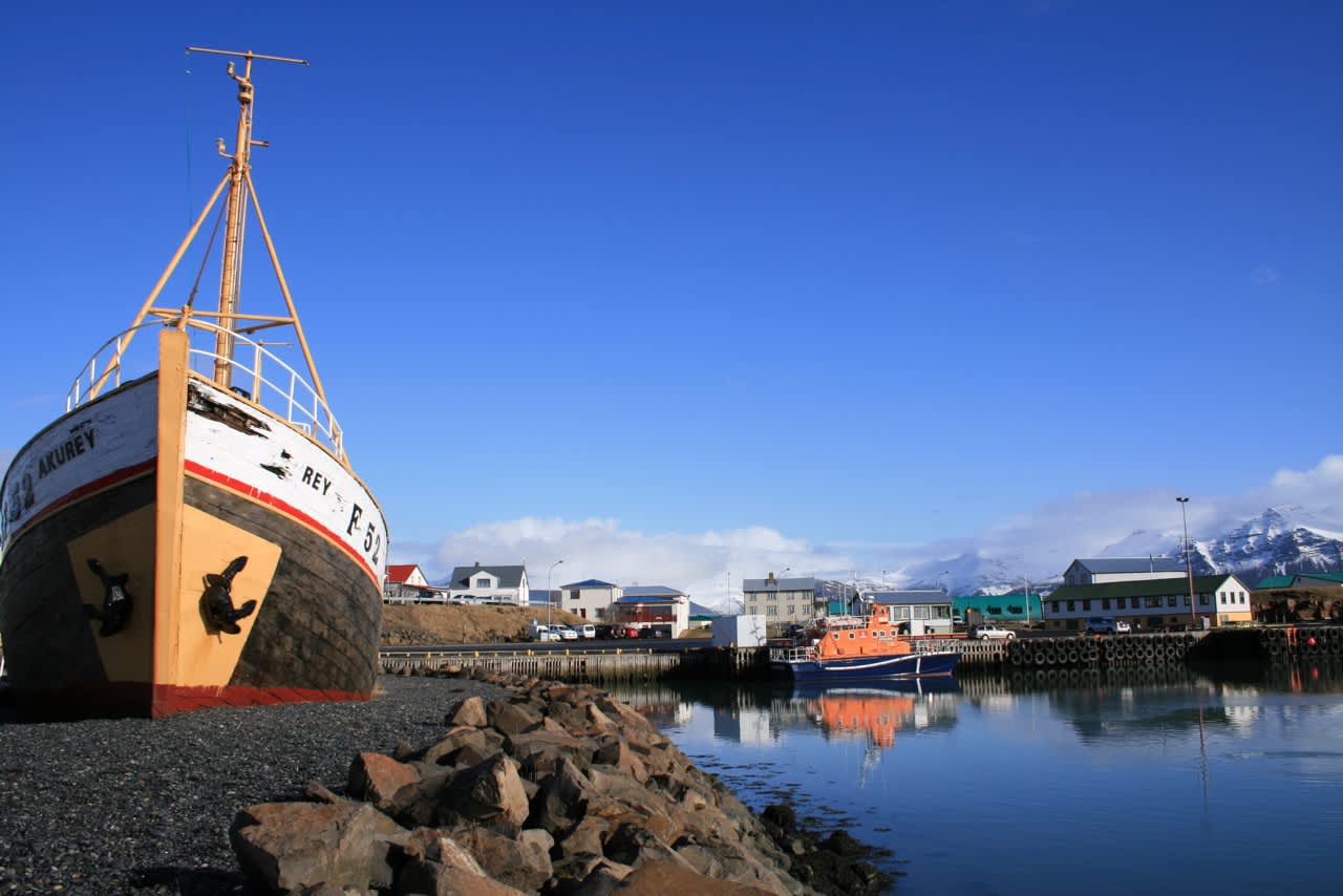 Höfn Local Guide Visit South Iceland