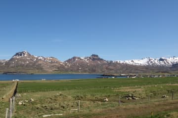 Urðarhólar