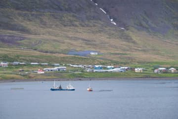 Súðavík