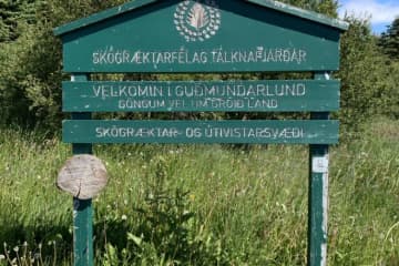 Gudmundarlundur - Tálknafjörður Forestry Association