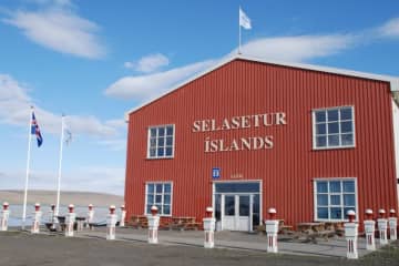The Icelandic Seal Center