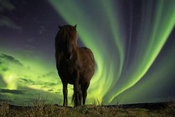 Exploring Iceland
