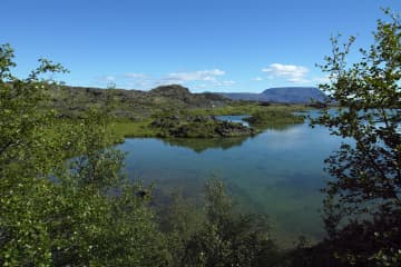 Mývatn verndarsvæði