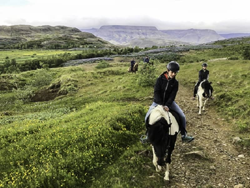 Icelandic Riding