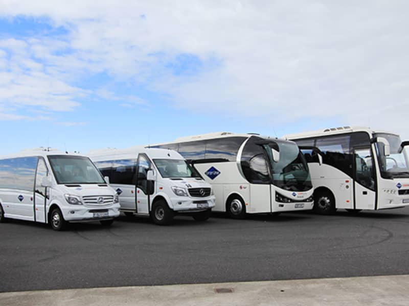 grayline bus tours iceland