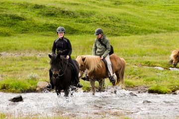 Eyjardalsá Horse Riding