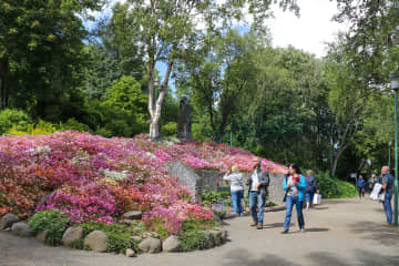 Akureyri Botanical Garden