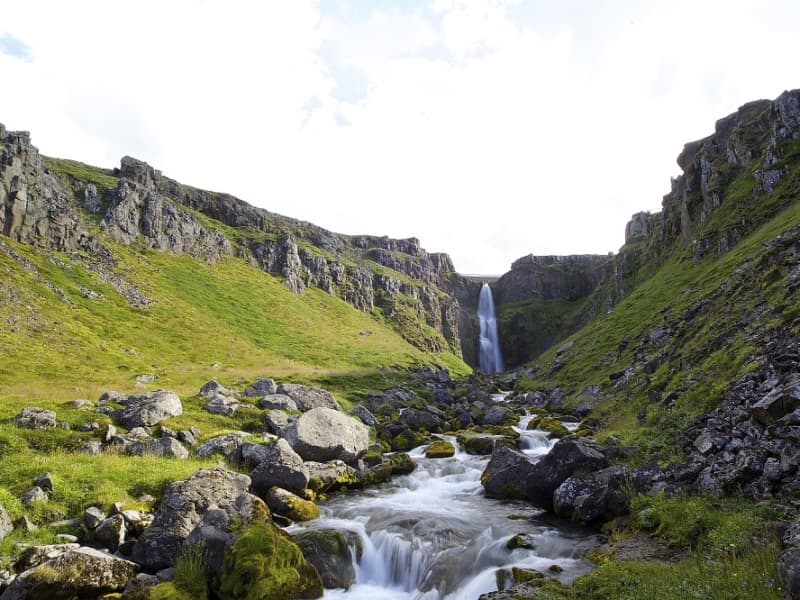 ZO•ON Iceland - GJAFALEIKUR !! Þar sem að Hörpu og Ganga