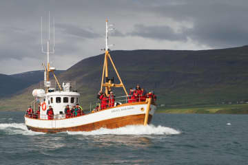 Sjóferðir Kela/Keli Sea Tours