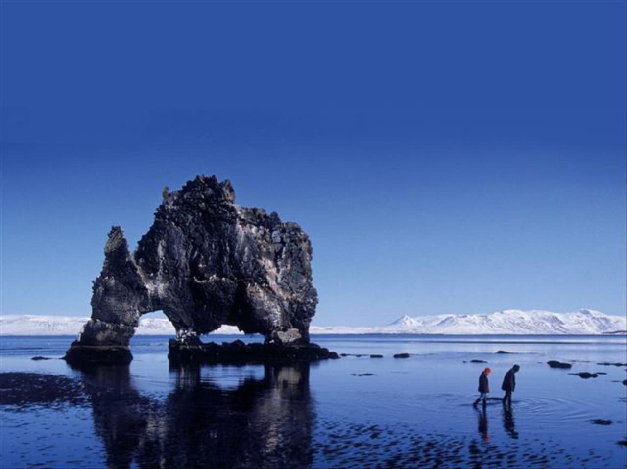 Hvitserkur Seals Birds Visit North Iceland
