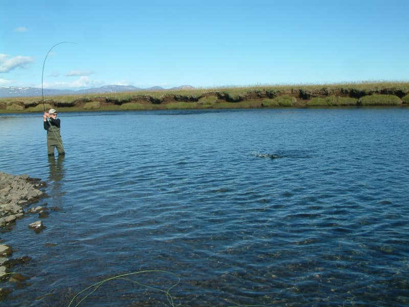 Selfljót river