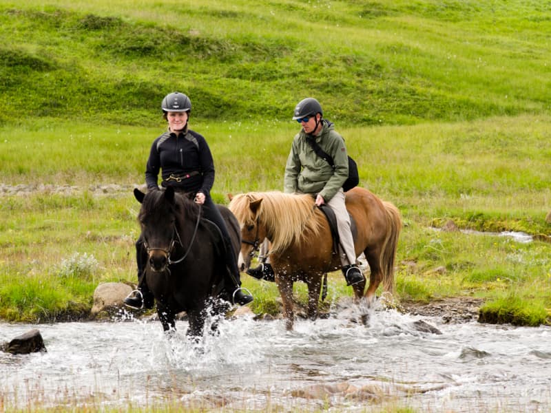 Eyjardalsá Horse Riding