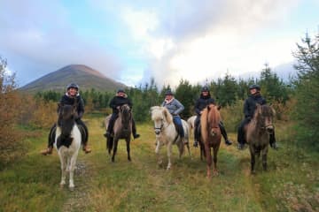 Stóra-Sandfell Horse Rental