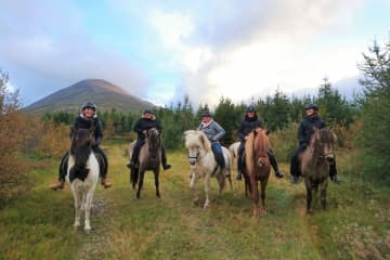 Stóra-Sandfell Horse Rental