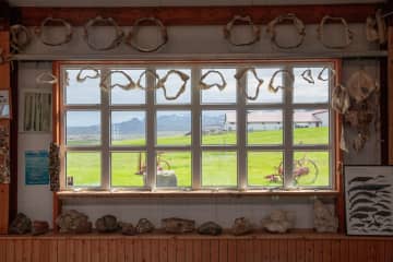 Bjarnarhöfn Shark Museum