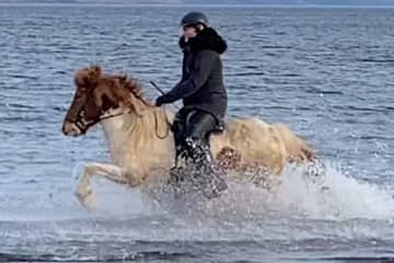 Akureyri Riding Tours