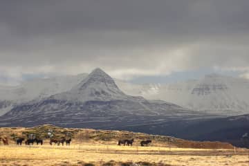 Skessuhorn, mountain in Borgarfjord