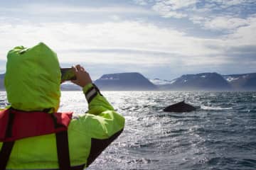 Westfjords Safari