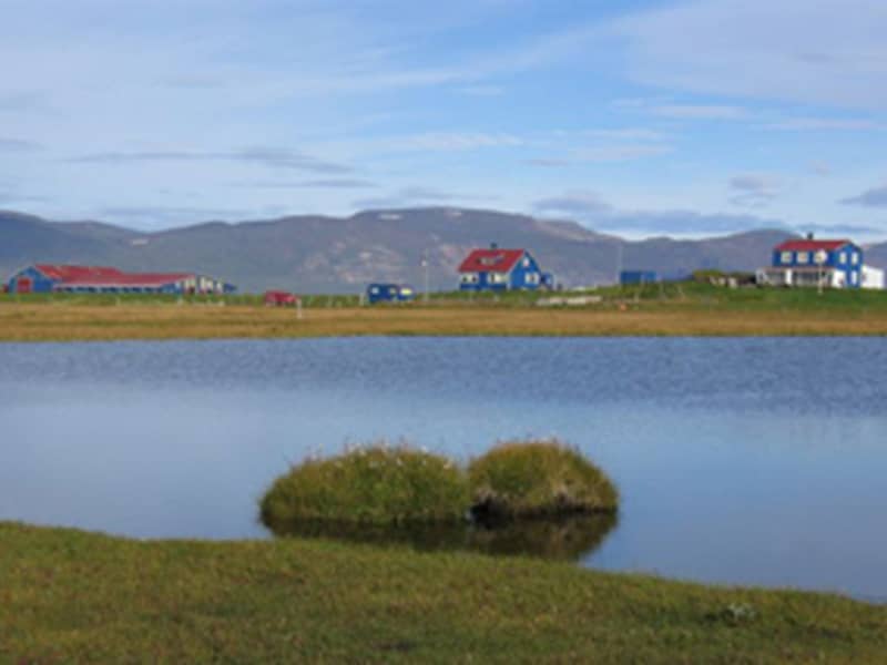 FerðaÞjónustan Húsey / Horse Riding Húsey