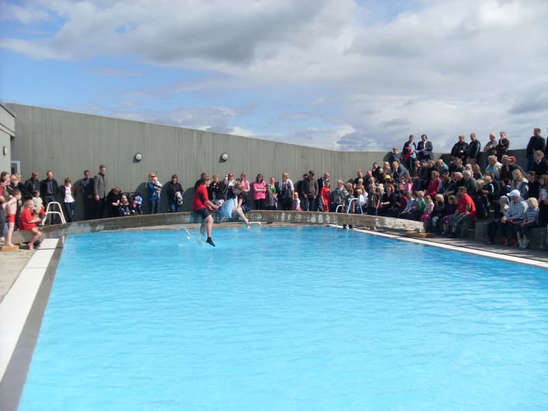 Brautarholt Swimming pool