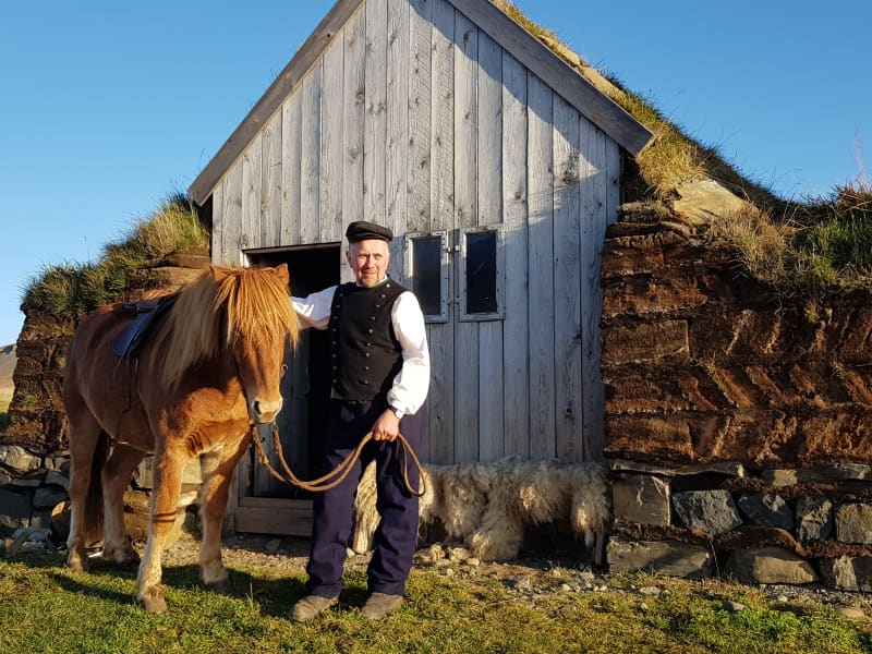 Icelandic Horse Farm Lýtingsstaðir