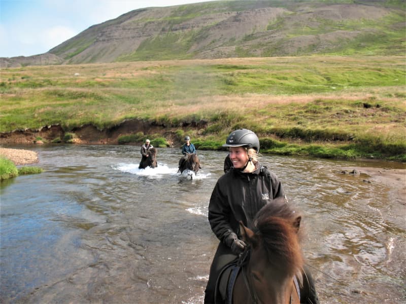 Langhus Horse Farm