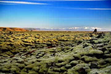 Skaftáreldahraun lava field