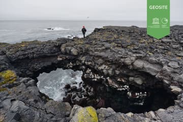 Hafnaberg - Sea-cliffs 