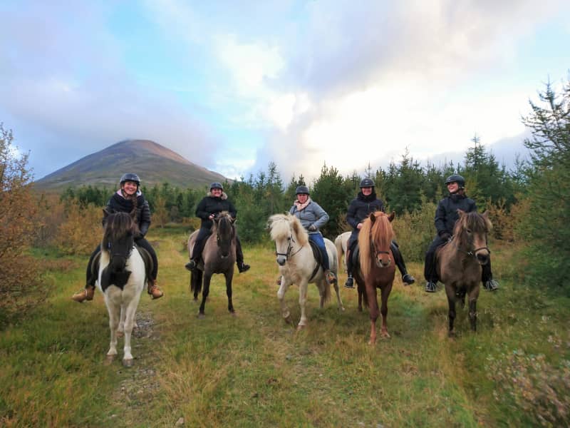 Stóra-Sandfell Horse Rental