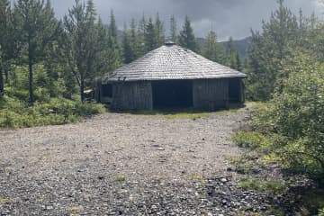 Brynjudalsskógur forestry