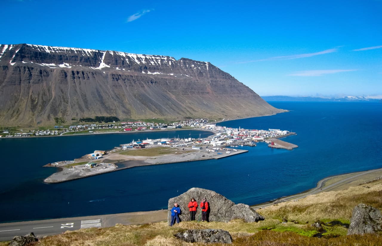 wild westfjords day tours