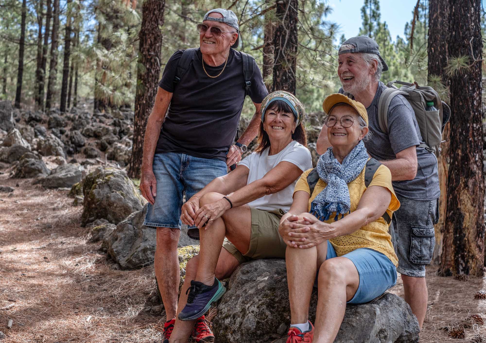 A cheerful group of four mature adults take a rest break while trekking through a pine forest