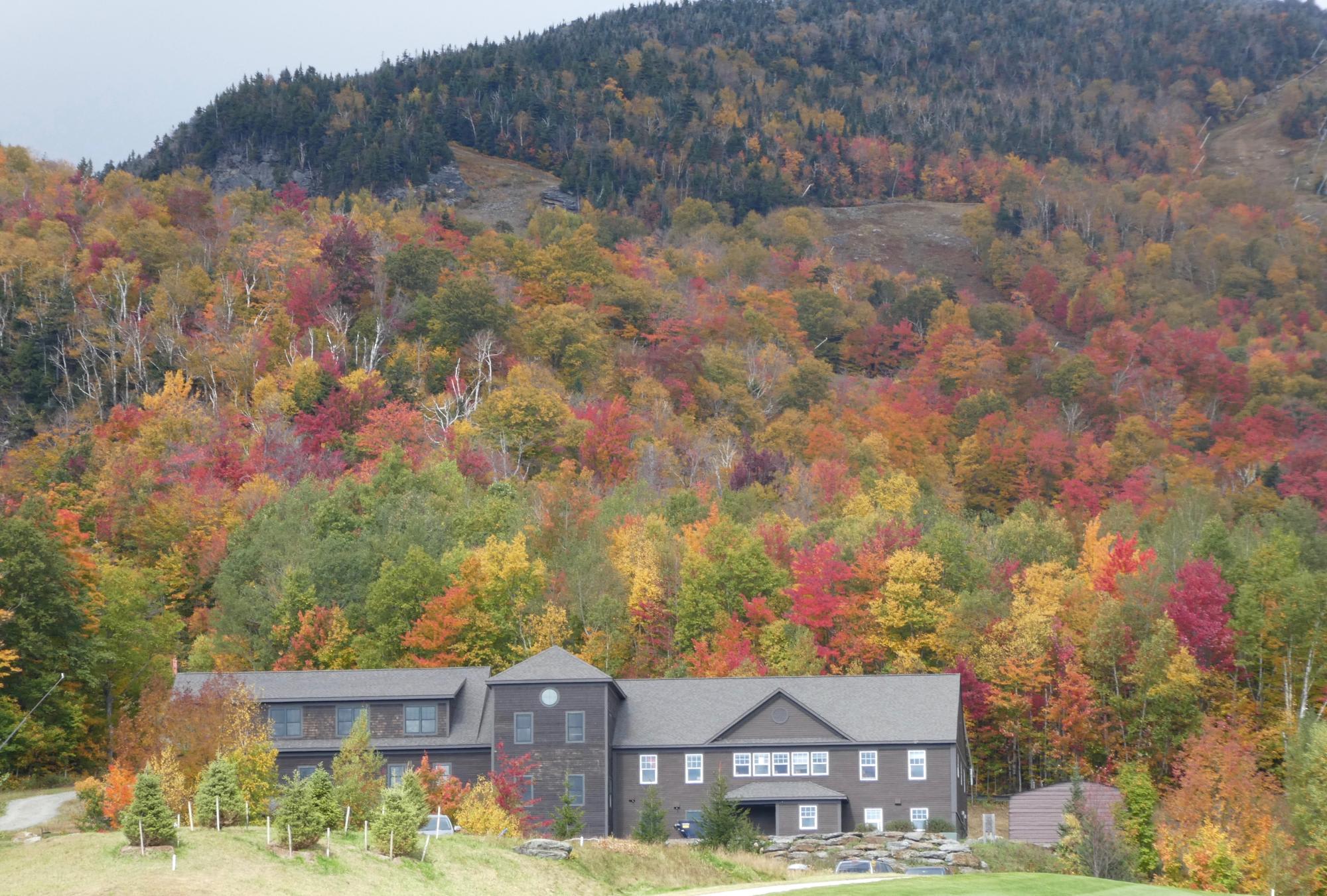 A modern dark-brown residential estate nestled at the base of forested mountains displaying vibrant