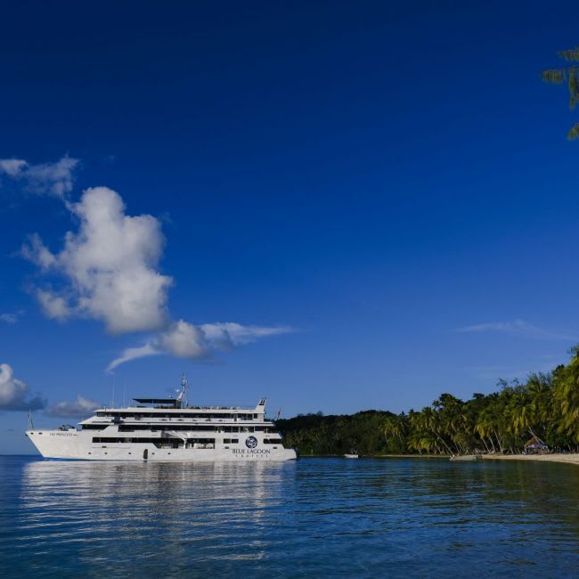 A large white cruise ship is anchored in crystal-clear turquoise waters off a pristine tropical island lined with palm trees and lush vegetation under a brilliant blue sky with scattered white clouds.