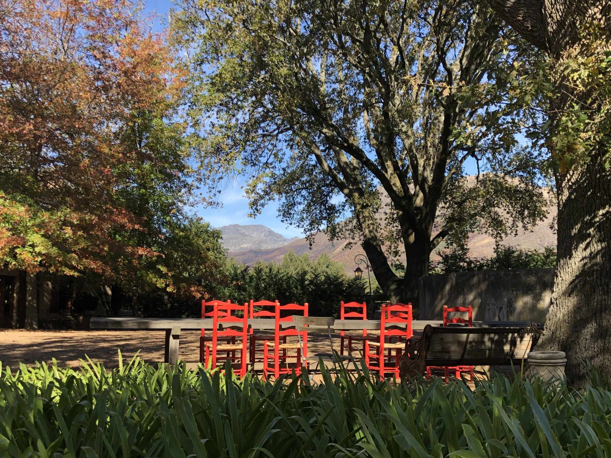 A charming outdoor courtyard or garden space featuring bright red traditional-style chairs arranged