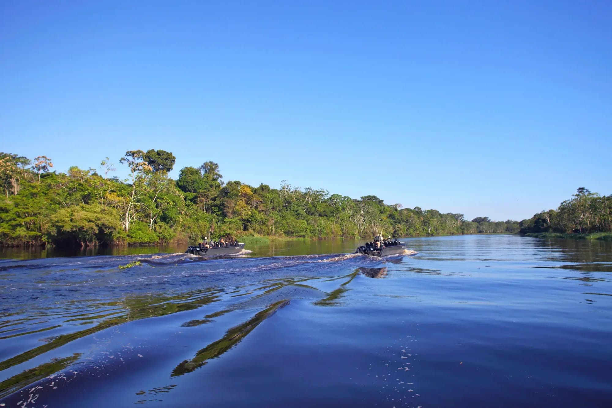 A scenic tour group navigates the Amazon River in small expedition skiffs, surrounded by pristine
