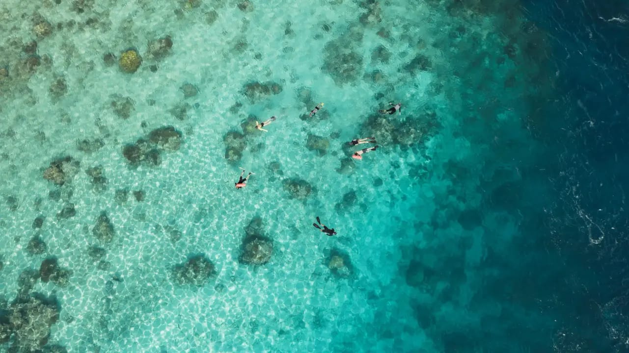 An aerial view of snorkelers exploring a vibrant shallow coral reef with crystal-clear turquoise