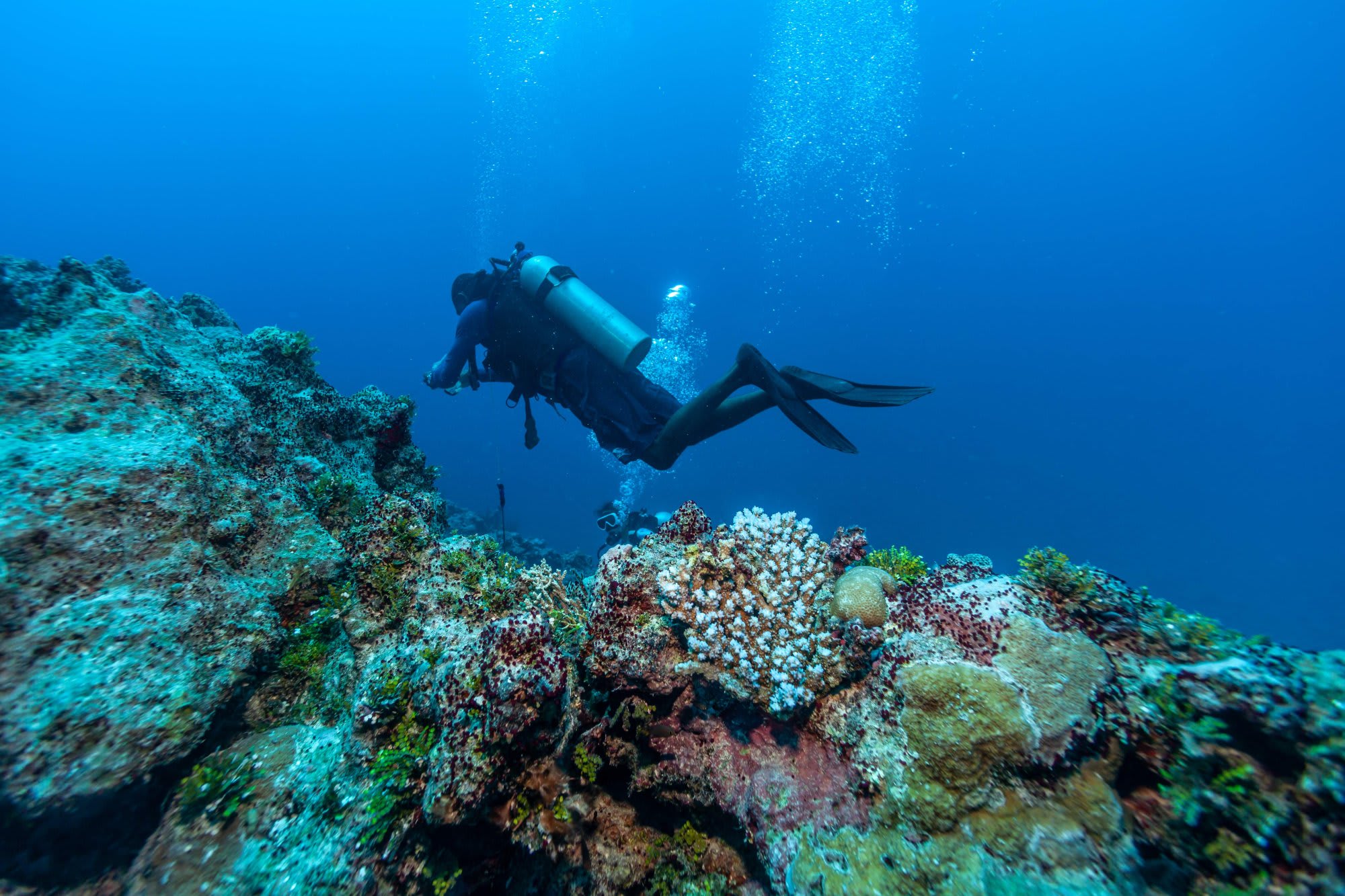 A scuba diver in full diving gear explores a colorful, biodiverse coral reef teeming with white