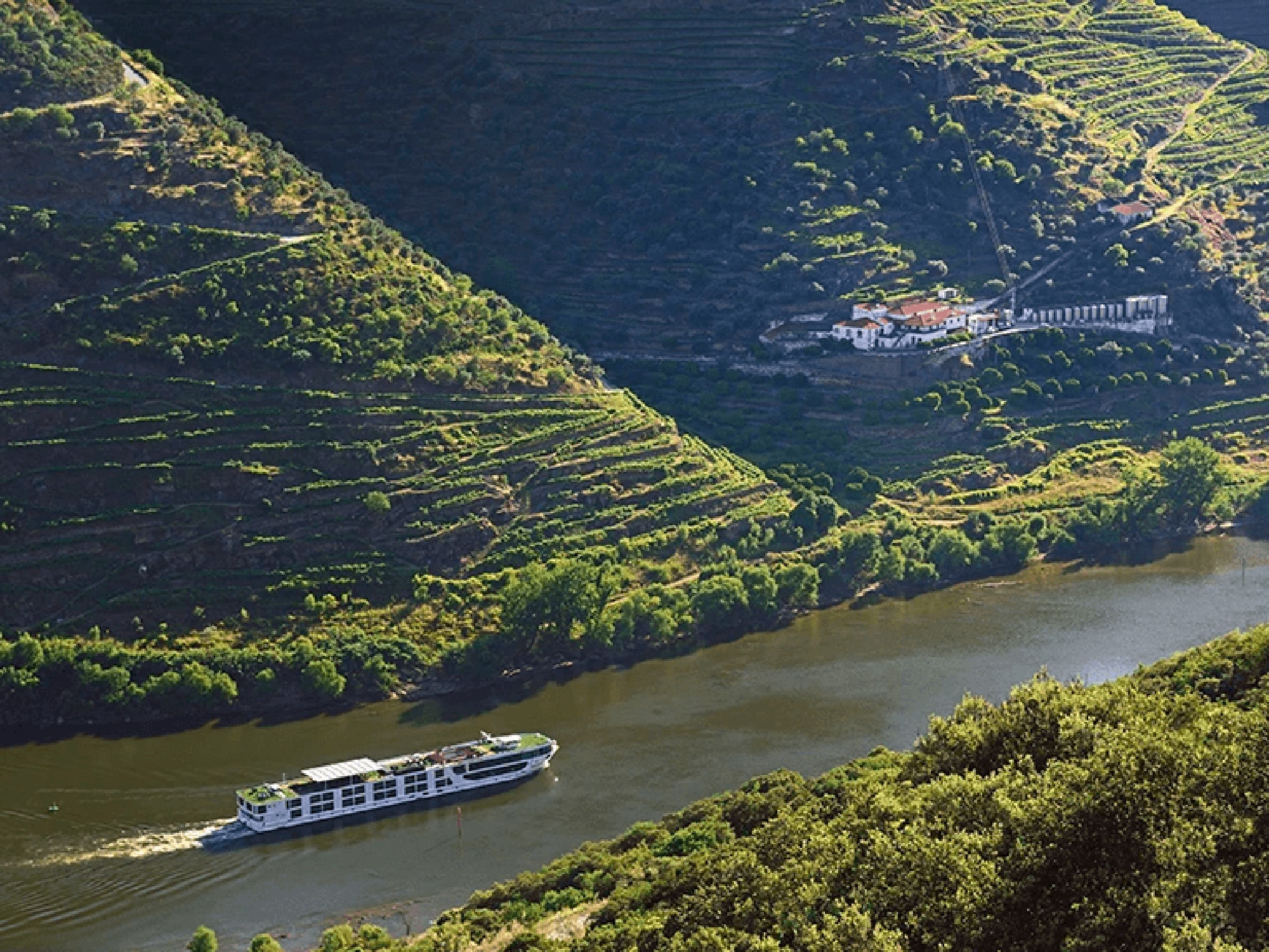 A modern river cruise ship navigating through the scenic, steep-sided Douro Valley in Portugal