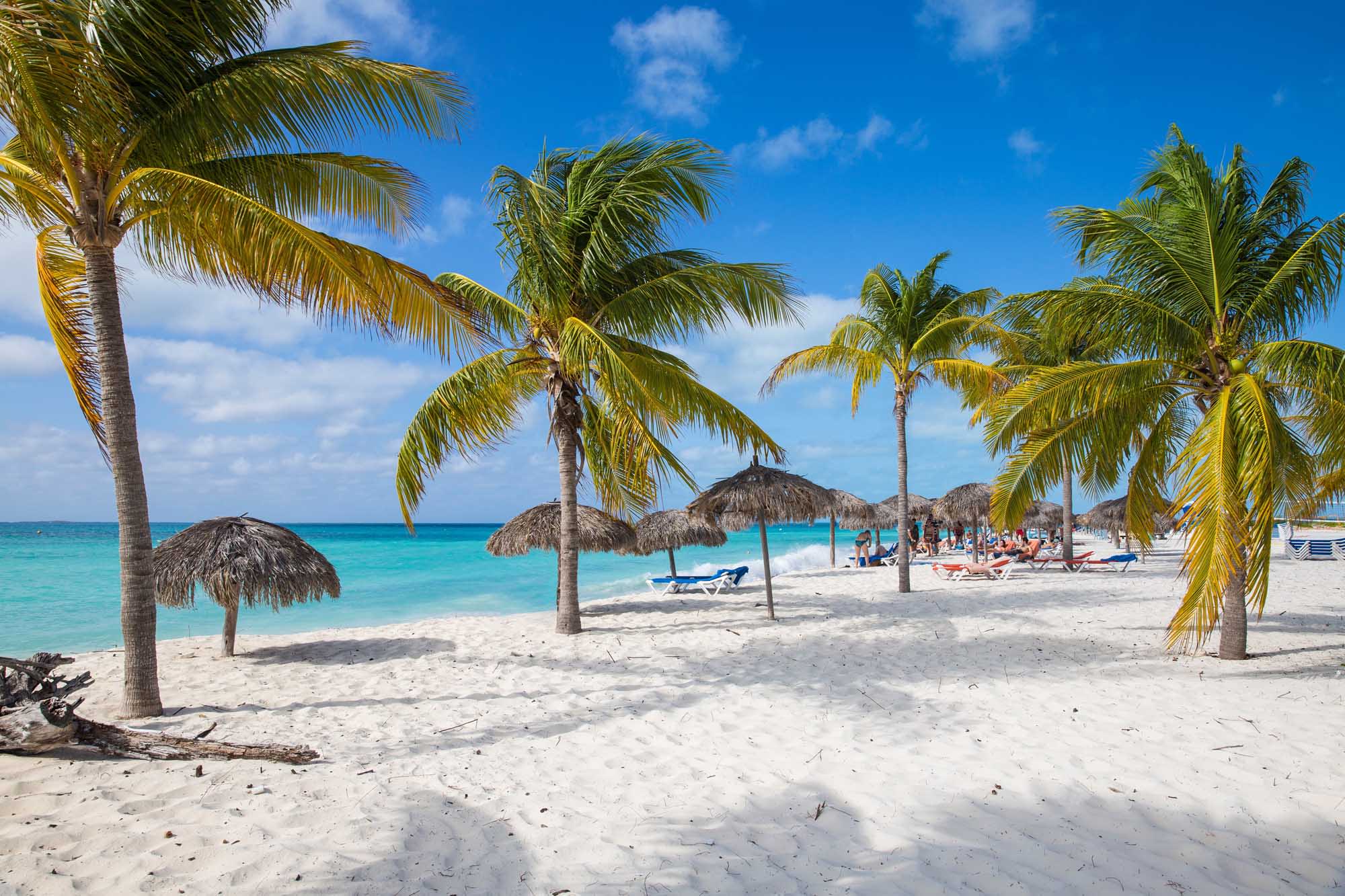 A stunning Caribbean beach scene featuring pristine white sand, crystal-clear turquoise waters, and coconut palm trees with traditional thatched umbrellas providing shade for sunbathers. The idyllic tropical setting showcases the natural beauty of this remote island destination with gentle waves and a picturesque horizon.