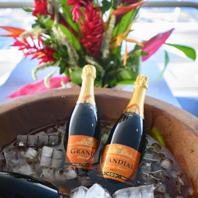 Two bottles of Grand Cuvée champagne chilling in ice within a wooden bowl, elegantly displayed alongside a vibrant tropical flower arrangement featuring red and pink ginger flowers, perfect for celebrating special moments aboard a cruise or tropical destination.