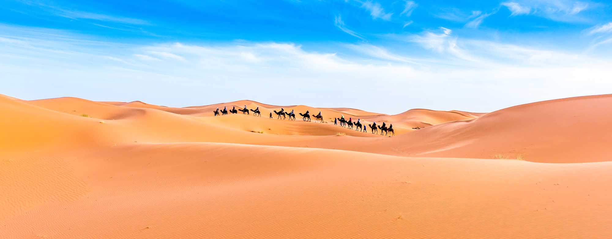 A scenic view of a camel caravan trekking across the golden sand dunes of the Merzouga region