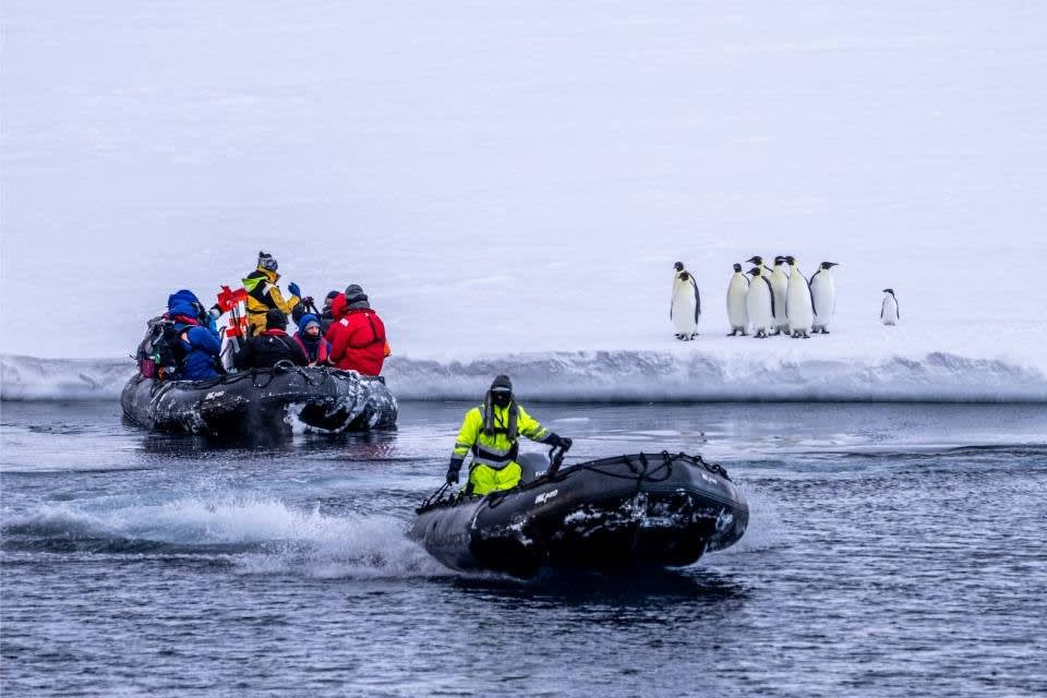 Tourists in colorful expedition gear arrive by inflatable zodiac boats to observe a group