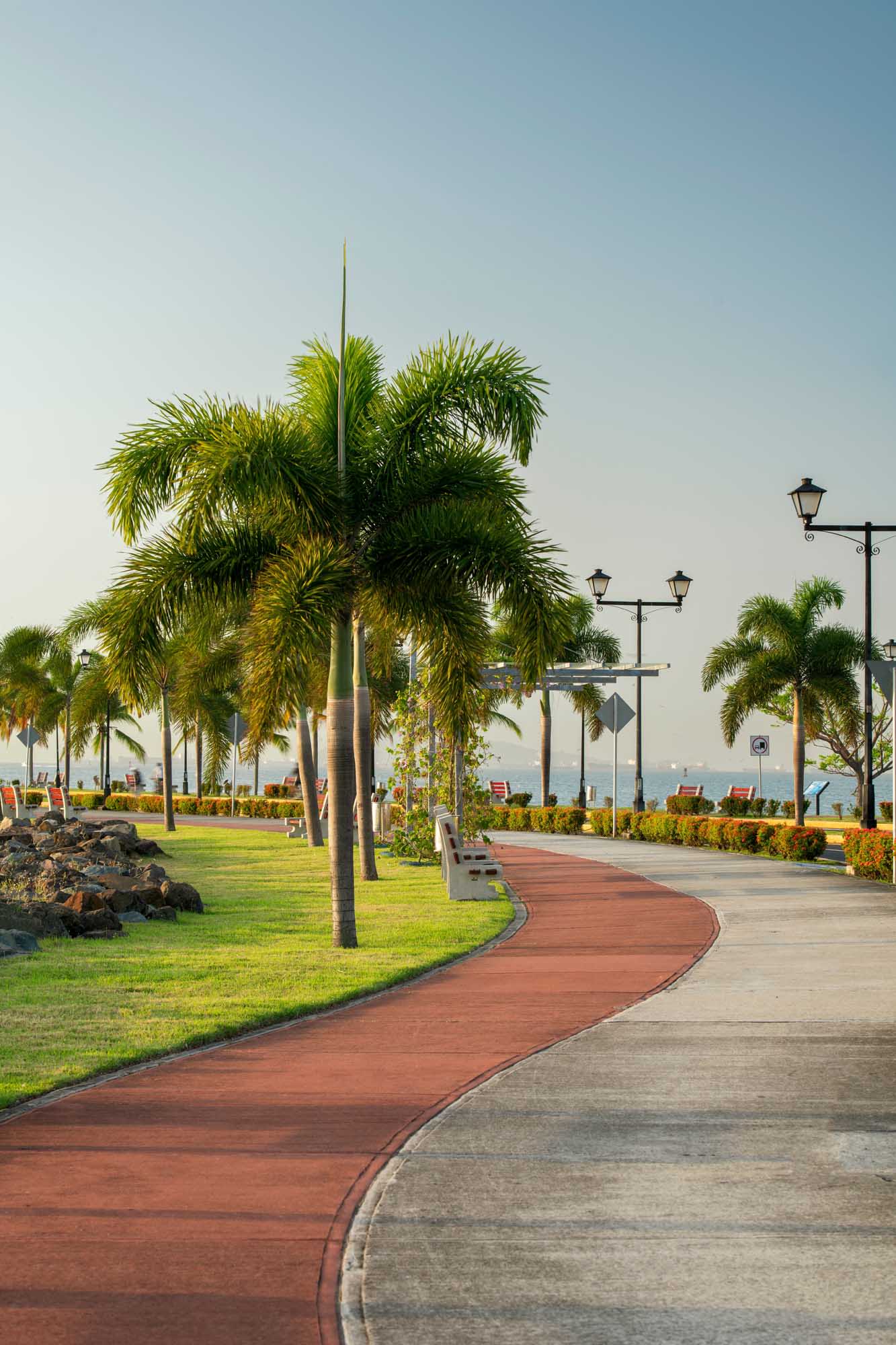 A scenic waterfront promenade at the Amador Causeway in Panama City, featuring palm-lined walkways
