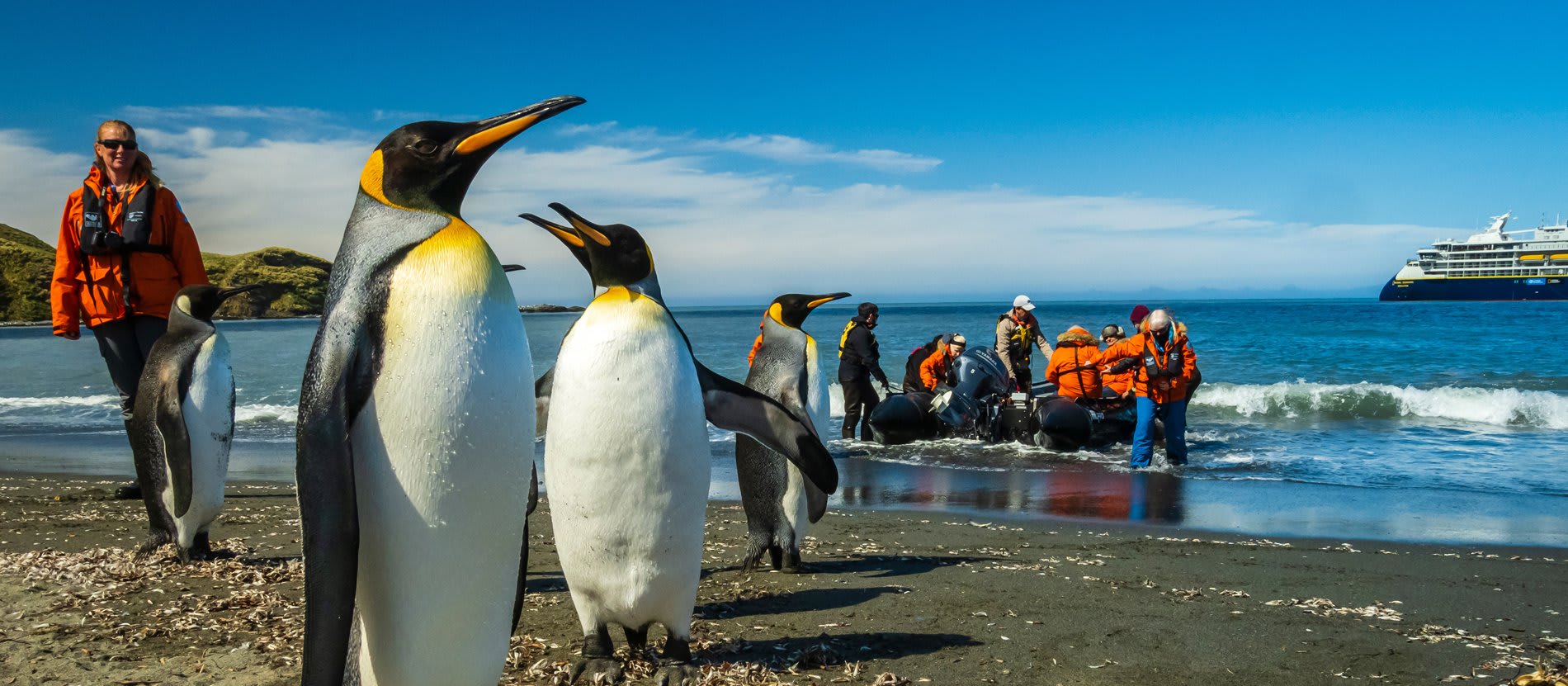 A group of King Penguins stands on a pristine beach while cruise ship passengers in bright orange life jackets observe and interact with them during a polar expedition excursion. A large expedition cruise ship is visible in the background anchored offshore.