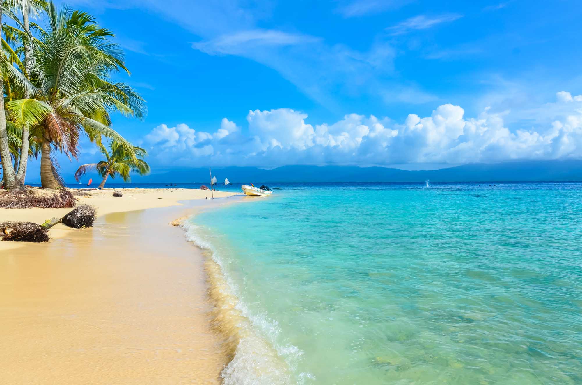 A picturesque Caribbean beach featuring white sand, crystal-clear turquoise waters, and swaying
