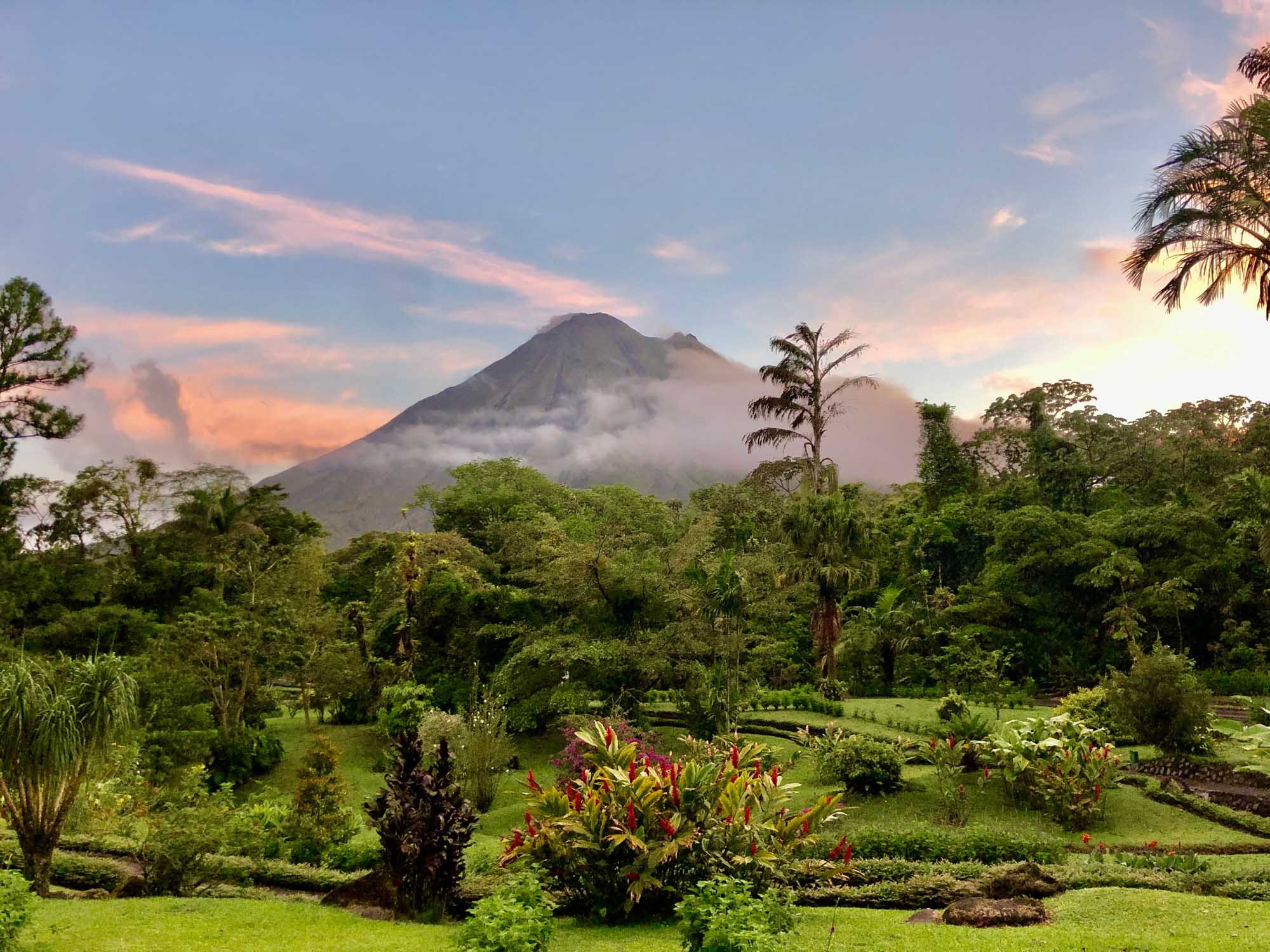 A stunning view of Arenal Volcano in Costa Rica rising majestically above lush tropical rainforest and a manicured botanical garden featuring vibrant tropical plants and palm trees. The volcano's conical peak is partially shrouded in mist against a beautiful sunset sky with pink and orange hues.
