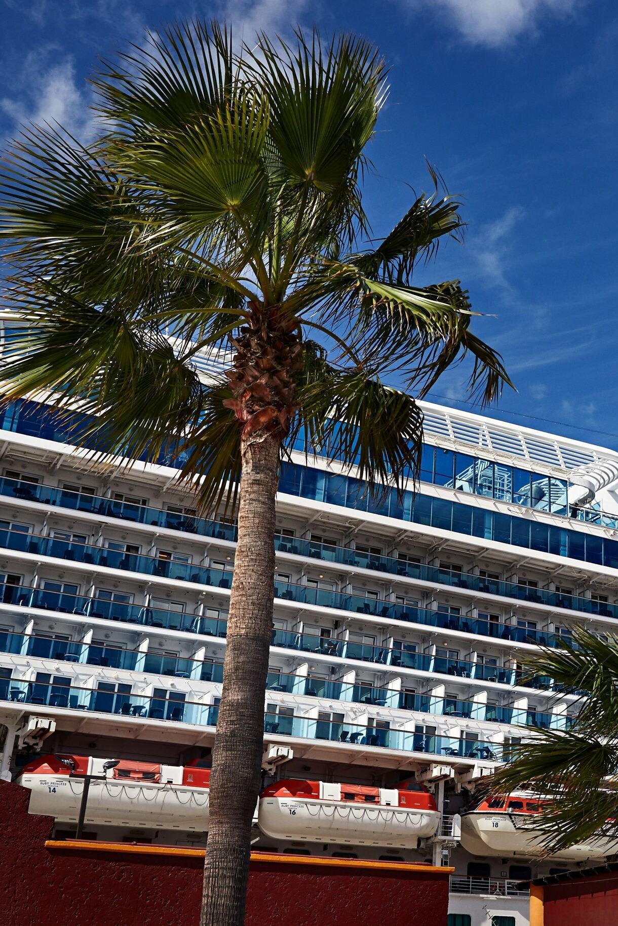 A large cruise ship docked at Ensenada pier with a tropical palm tree in the foreground and clear