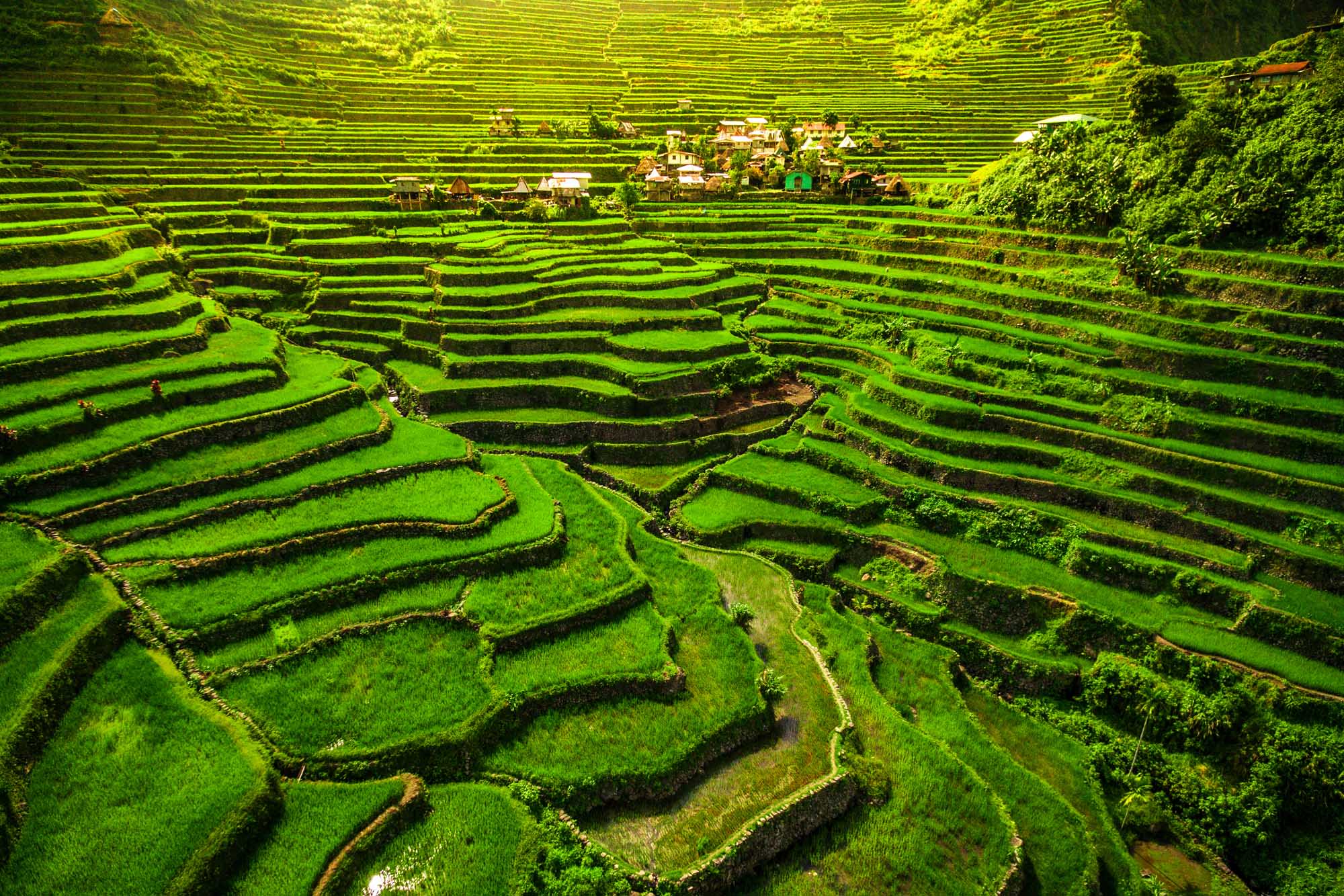 A breathtaking aerial view of the UNESCO World Heritage-listed Ifugao rice terraces in Batad