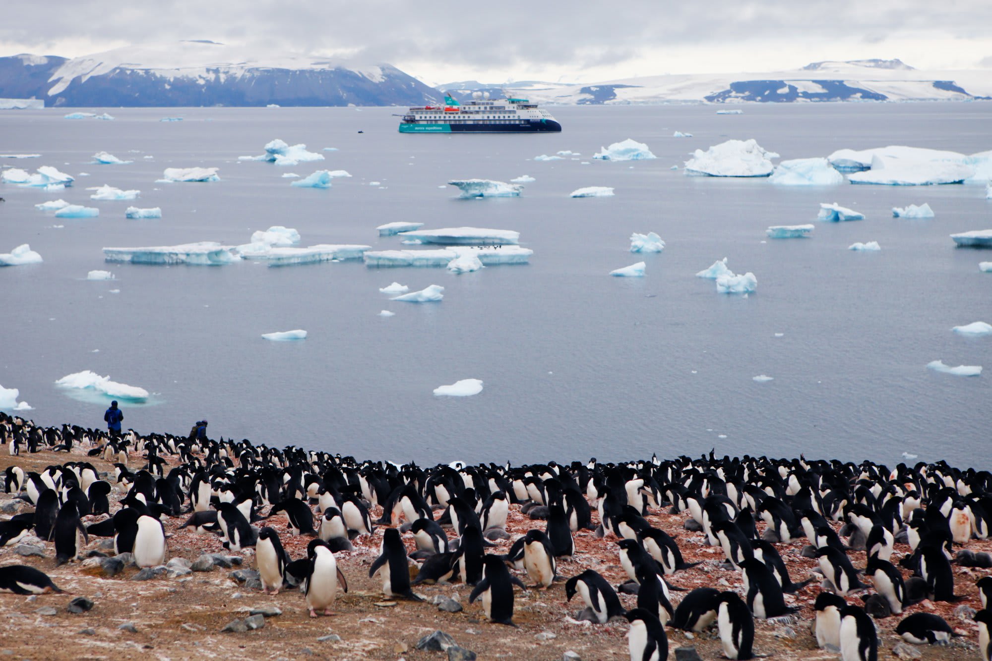 An expedition cruise ship navigates through icy Antarctic waters dotted with blue and white